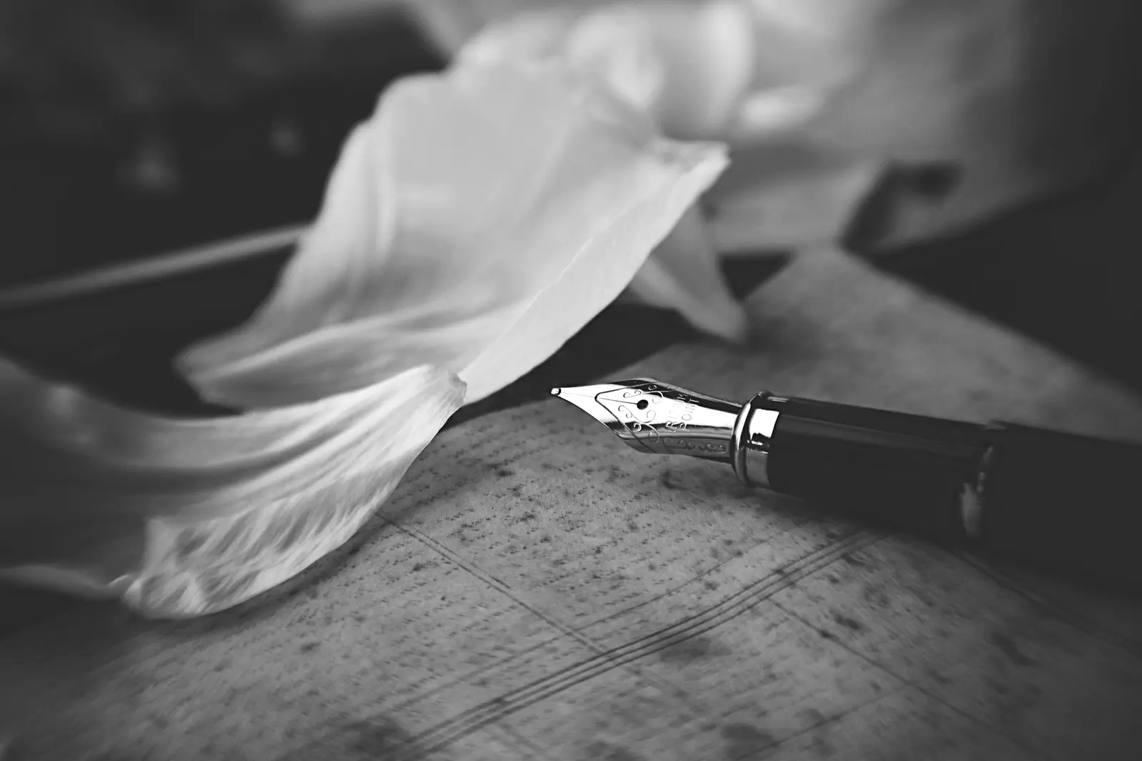 Un stylo plume posé sur une feuille manuscrite
